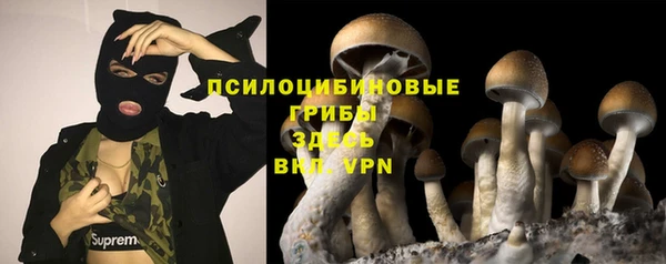 молекула духа Баксан